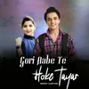 About Gori Aabe Te Hoke Tayar Song